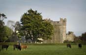 Killiane Castle - Drinagh Wexford County Wexford Ireland
